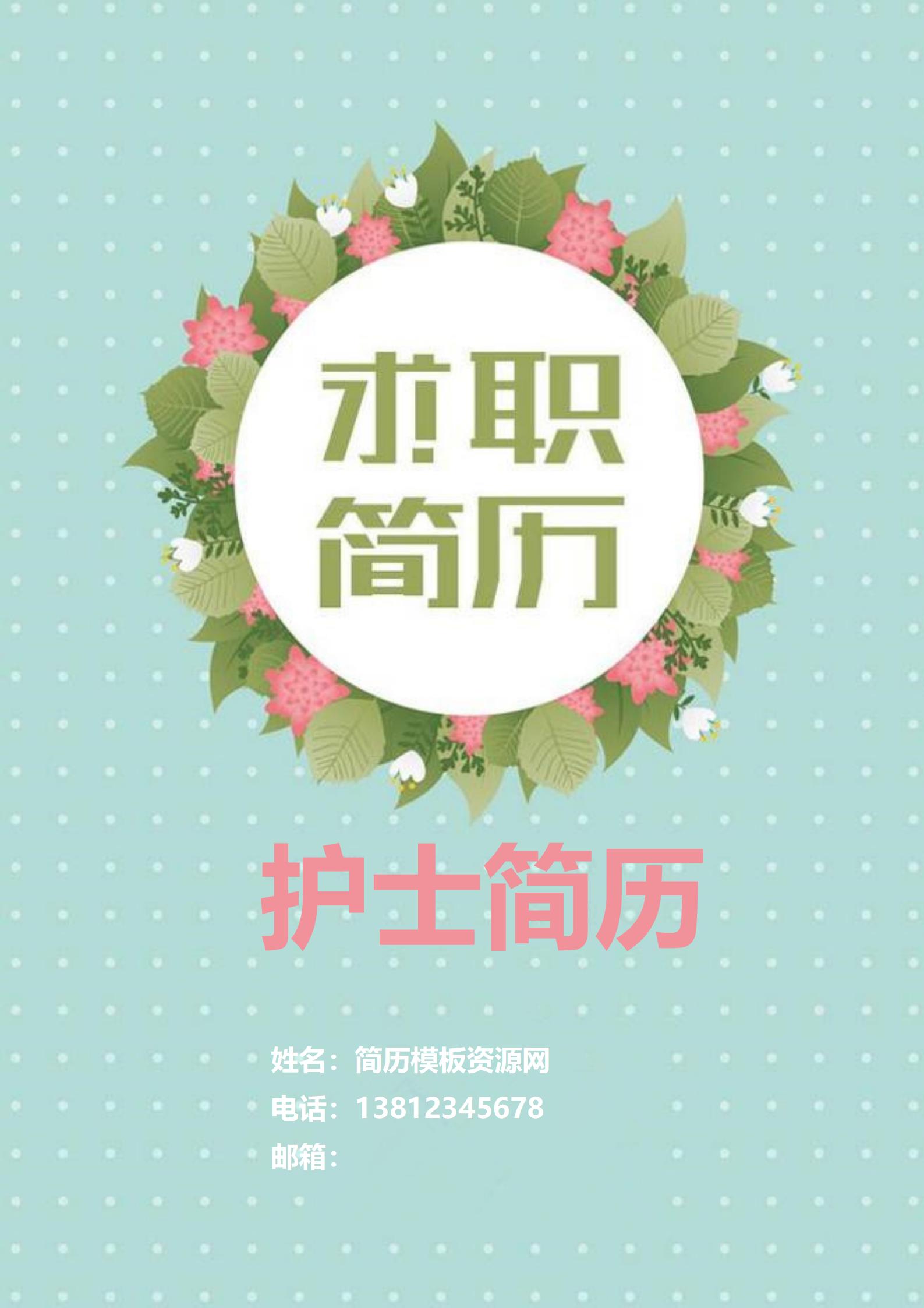 创意十足大学生简历模板组合