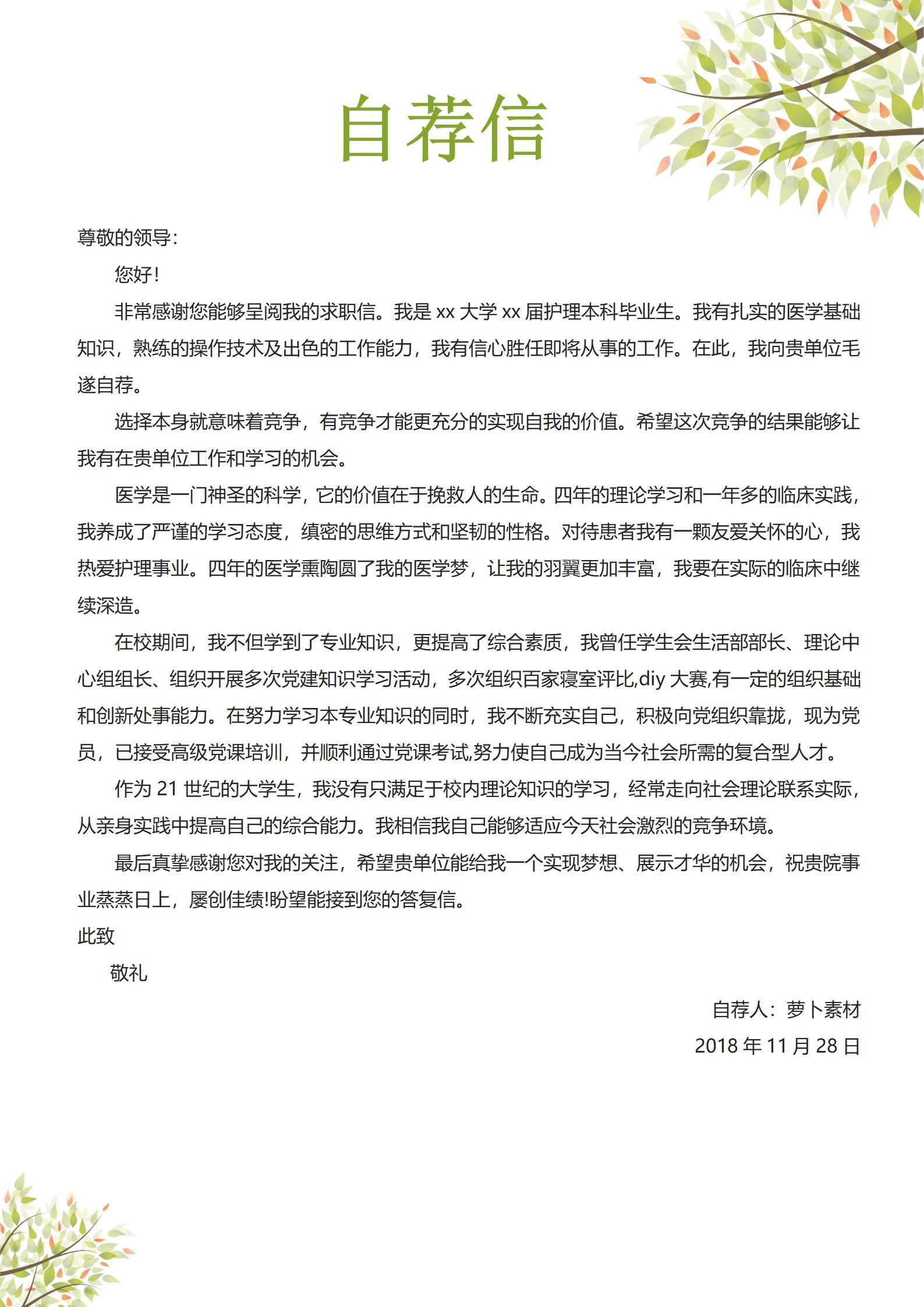 页简历展示护士职业技能与经验