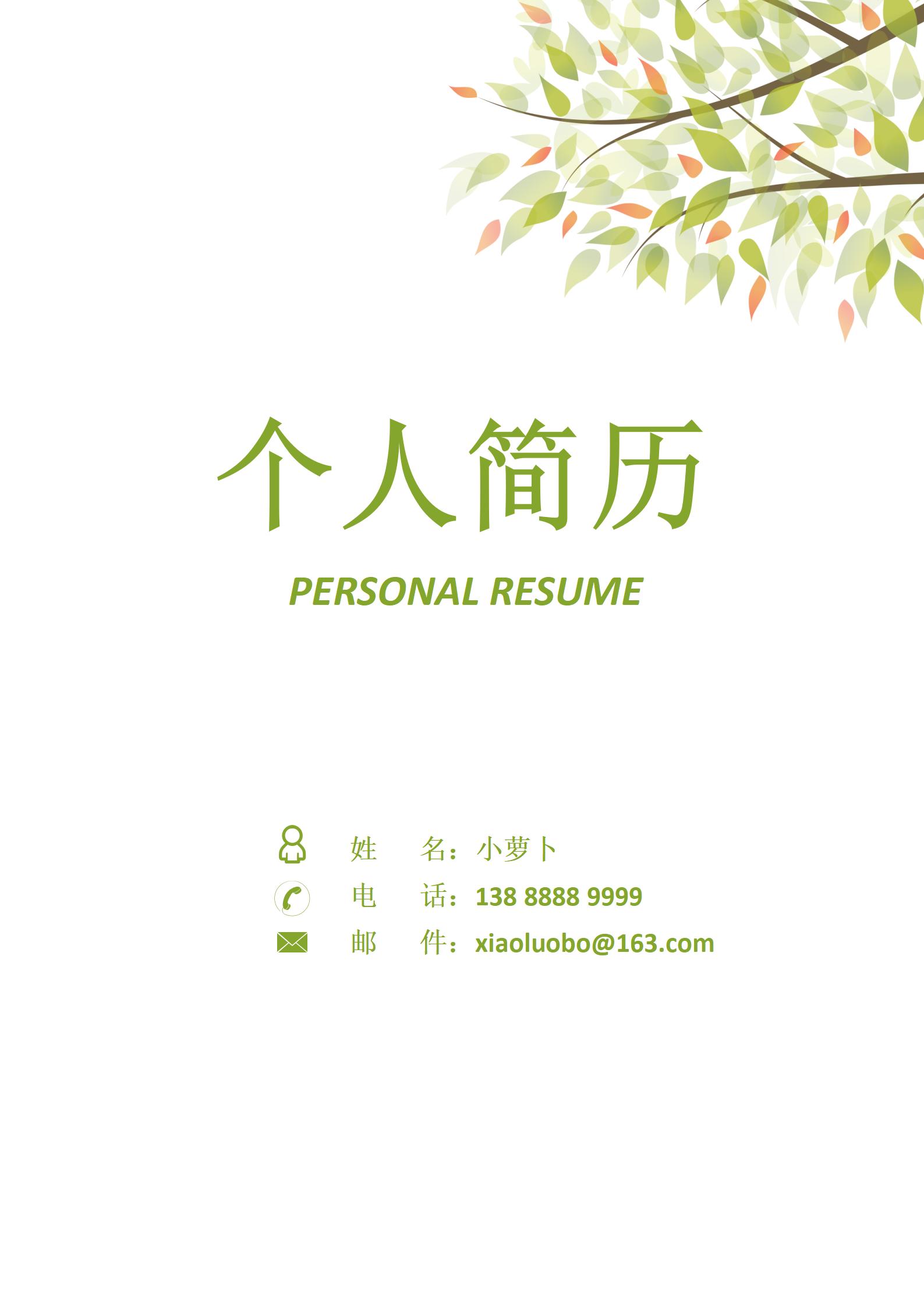 页简历展示护士职业技能与经验