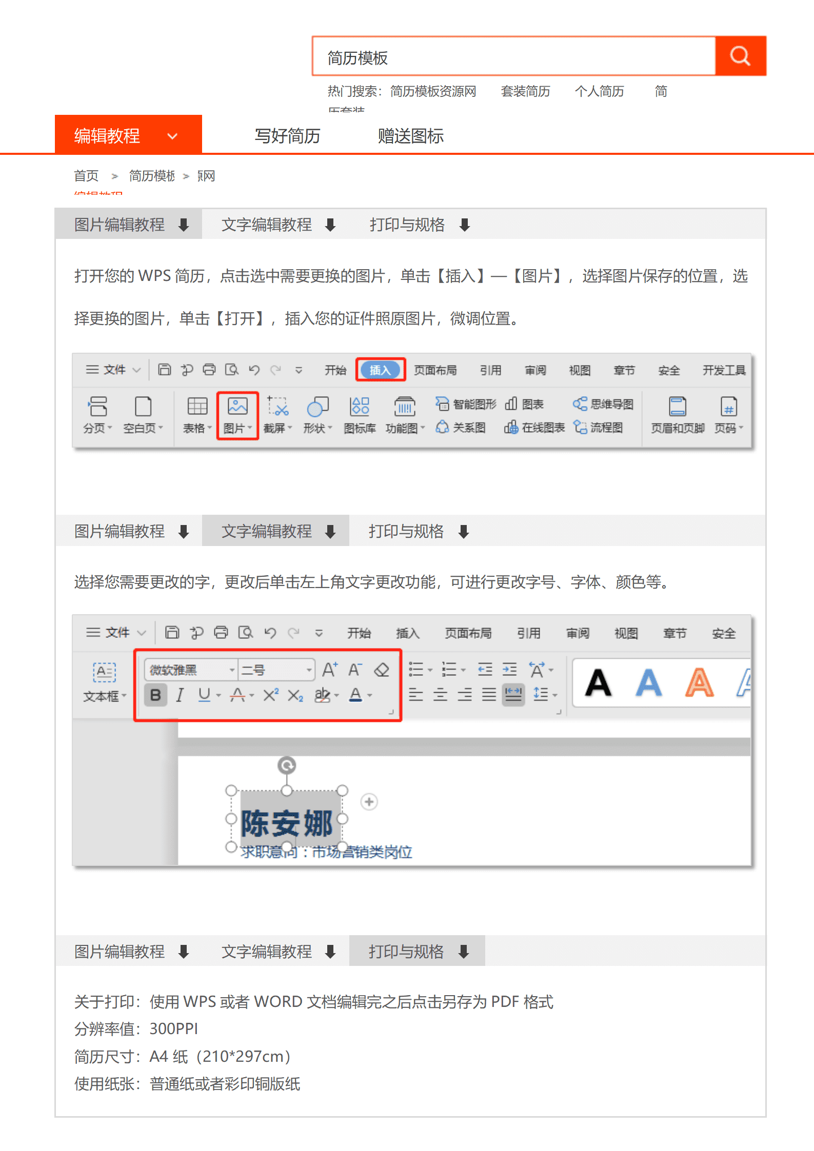 商务套装简历旅游顾问
